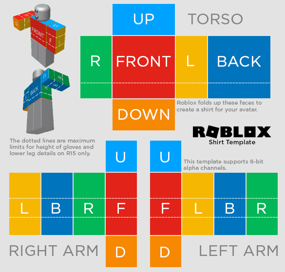 Labeled 585 by 559 Roblox Classic Shirt template showing torso and arm sections